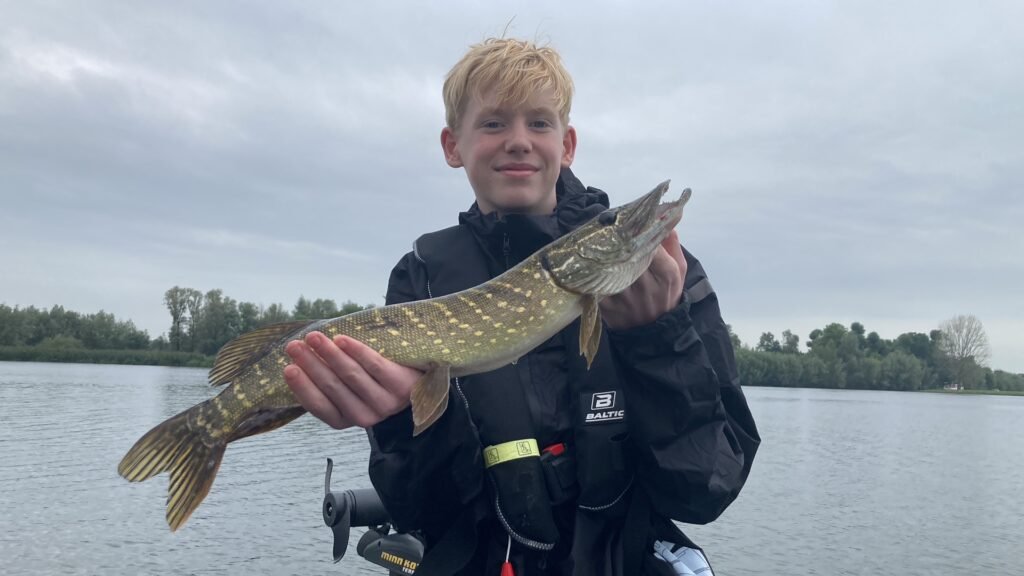 snoekvissen met visgids in de biesbosch