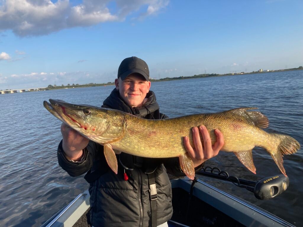 snoekvissen op het Gooimeer