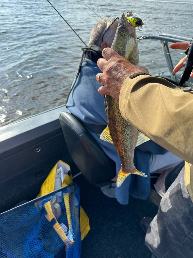 fishmeister, snoekbaars vissen Biesbosch
