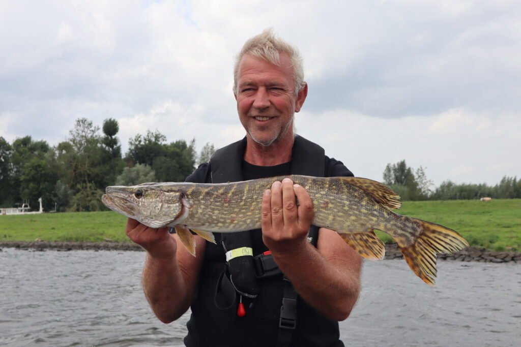 snoekvissen Biesbosch visgids Fishmeister baarsvissen roofblei