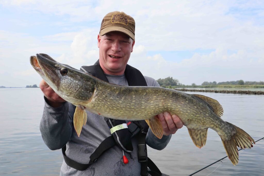 Paul vangt een mooie snoek in de Biesbosch