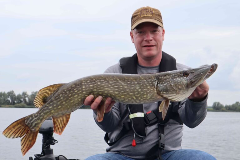 Paul vangt nog een mooie snoek in de Biesbosch