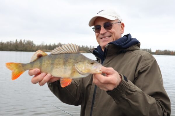 Ruud vangt een mooie baars in de Biesbosch