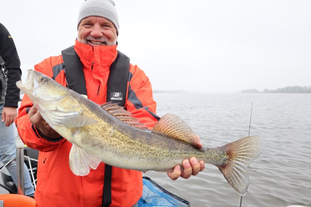 Snoekbaarsvissen met visgids Fishmeister in de Biesbosch