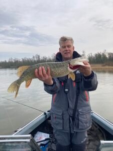 Mooie snoek gevangen op een jerkbait in de Biesbosch