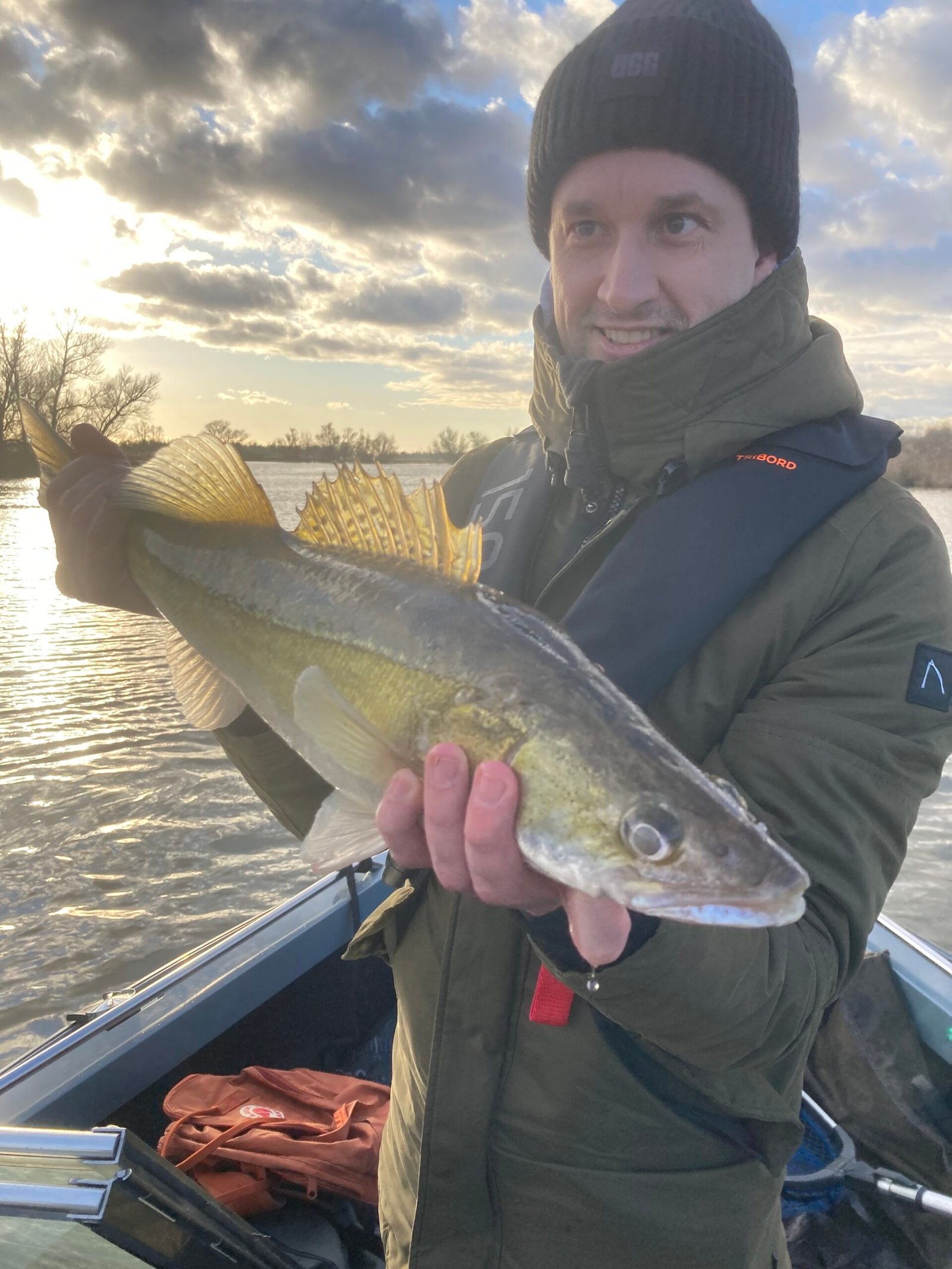 Prachtige Biesbosch snoekbaars