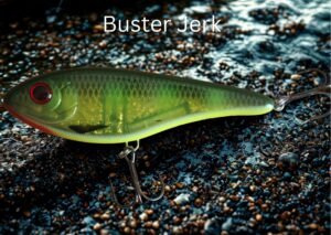 Buster Jerk voor vissen in de Biesbosch