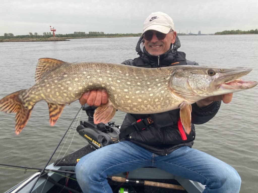 Grote Biesbosch snoek gevangen door Ruud