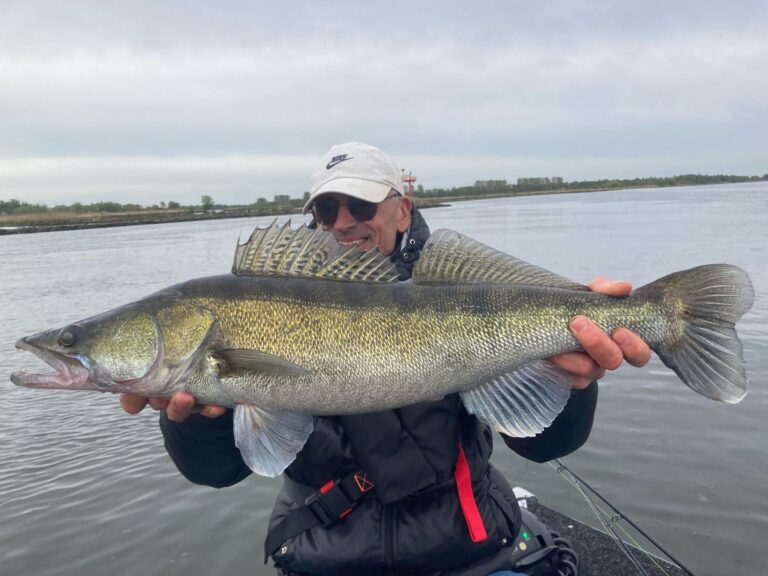 Grote Biesbosch snoekbaars gevangen op de worm