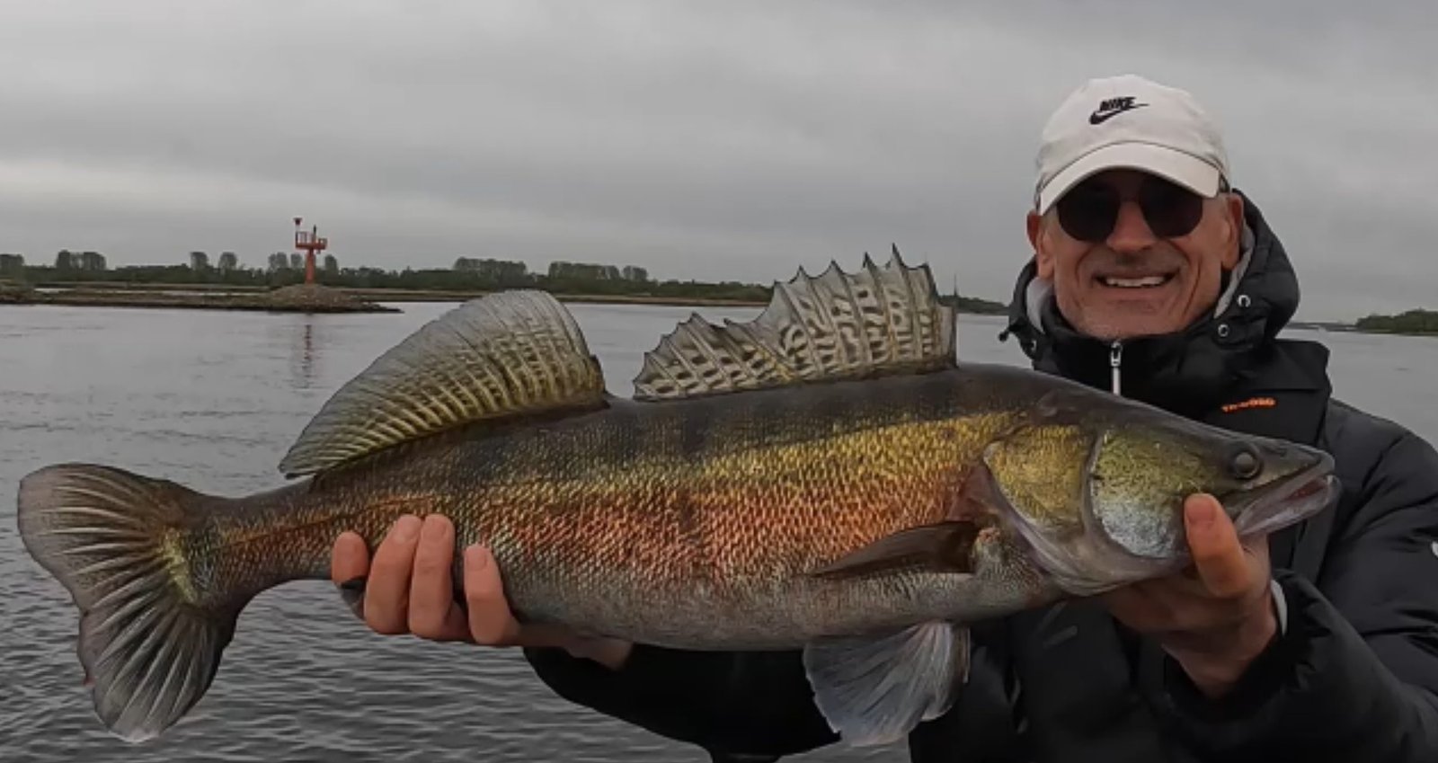 Ruud vangt een enorme snoekbaars in de Biesbosch