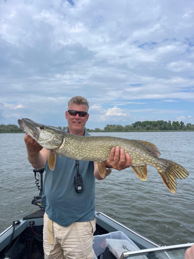 Visgids Fishmeister vangt een snoek op de Amer rivier