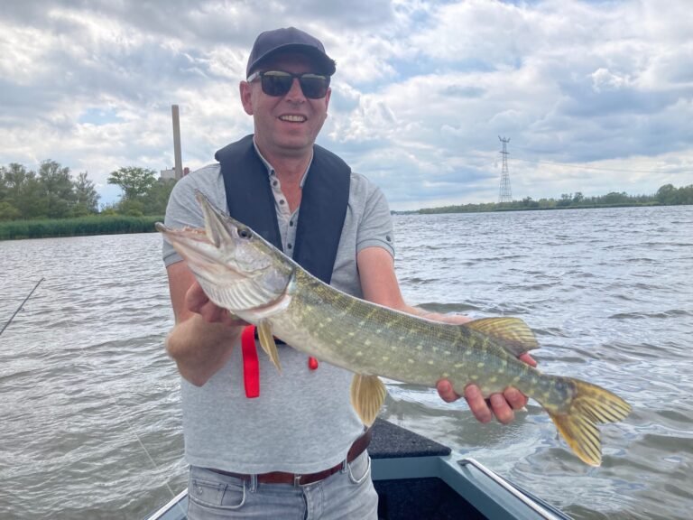 Snoek gevangen in de Biesbosch met Fishmeister