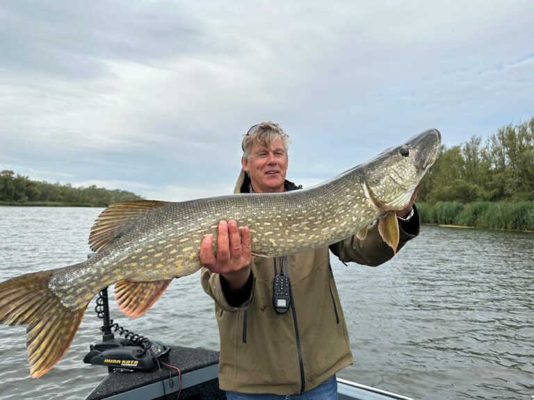 Grote snoek gevangen in de Biesbosch