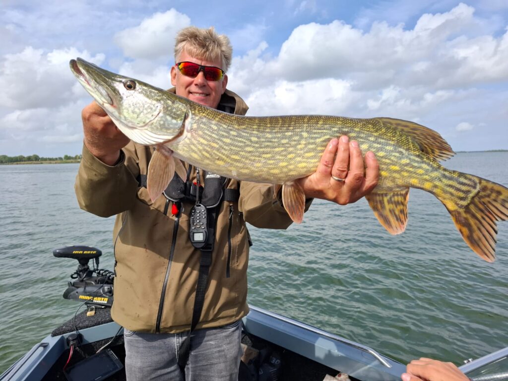 Grote snoek gevangen op het Volkerak door visgids Frans van Fishmeister