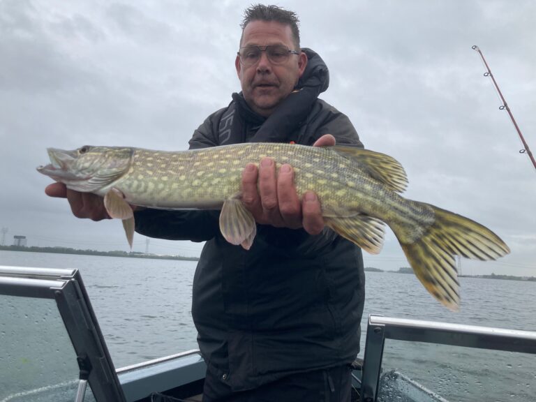 Snoekvissen op het Veluwemeer met visgids Fishmeister